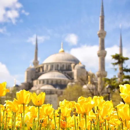 Perazre Provincia di Istanbul